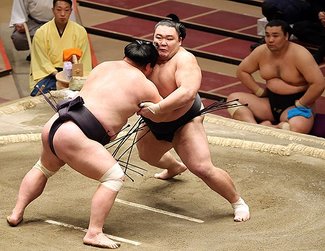 朝乃山、万全の寄り切りで勝ち越し　春場所１１日目