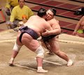 朝乃山５敗目、優勝逃す　春場所１４日目
