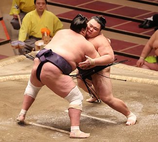 朝乃山５敗目、優勝逃す　春場所１４日目