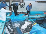 福島県からトラックで運ばれてきた稚魚を漁船の魚倉に移す乗組員ら