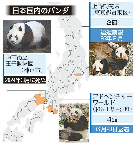 和歌山パンダ6月返還、国内飼育数「ゼロ」近づく 上野の2頭は26年