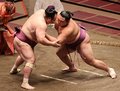 朝乃山、幕内初の７連勝 ７月場所７日目