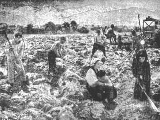 ４月２８日の歴史<br />立野ケ原で村づくり開始　１９４６年