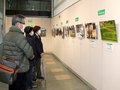 とやま森の四季彩フォト、入賞作品１９点並ぶ　富山で巡回展
