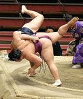 朝乃山、鶴竜に痛い黒星　春場所１４日目