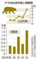 クマ出没、最多４万７０００件　２５年４～１１月、富山は１０１５件
