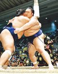 朝乃山、休まず攻め「納得」　４勝目