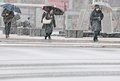 富山で１３日ぶり積雪、小矢部で国道一時通行止め　県内３０日も雪