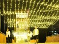復興の祈りをこめたイルミネーション✨【10/17up 富山のイベント・おでかけ情報】