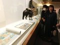 人との関わりに興味　県水墨美術館で開催「どうぶつ百景」２１日閉幕、ファン続々