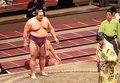 朝乃山 不戦勝で５勝３敗　秋場所８日目