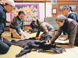 クマの毛皮を触る参加者ら