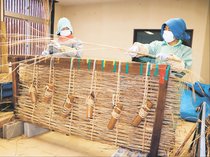 雪囲い「オオダレ」、追い込み作業　南砺・相倉で女性７人