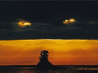 読者写真コンクール<br />１１月の入選作・最終選考進出作（２０２５年）