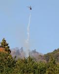 神奈川の山林火災で消火活動