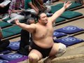 朝乃山、十両優勝の確率を計算してみた