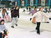 五輪効果、大にぎわい　富山スケートセンター