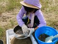 海岸でマイクロプラスチック調査