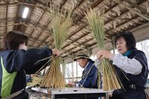 雪つり上部飾る「わらぼっち」編む技術学ぶ　富山・中央農業高庭園コースの５０～７０代が実習
