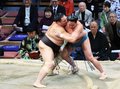 朝乃山、再入幕へ前進　大相撲九州場所１３日目、秋場所に続き２桁勝利