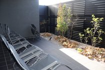 燃料は廃材、エコなサウナ　南砺・井波の３７ＢＡＳＥ、幅広い世代に人気