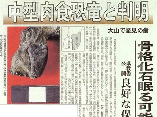 ６月１６日の歴史 <br />大山で「恐竜の歯」の化石発見　１９９９年