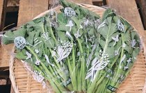 ＜旬を召し上がれ＞菜花<br />苦さほんのり クセになる