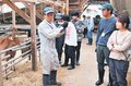 農村暮らしの魅力紹介　高岡・国吉で県内外５人酪農体験