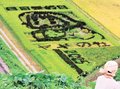 仲間しのぶ似顔絵　魚津「ヤギの杜」、田んぼアート見頃