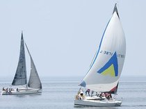 ヨット１４艇、潮風受けグングン　射水－魚津で富山湾横断レース