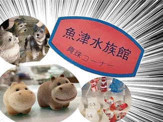 ひそかに全国区の人気、摩訶不思議「魚津水族館 真珠コーナー」(上)