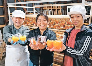 ＜未来へつなＧＯ！＞杉苗屋源四郎農場（南砺市）<br />規格外柿 スイーツに