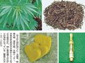 大麻「使用」で県内初起訴　法改正後に地検、３月下旬に２０代男２人