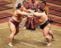 朝乃山、貴景勝に押し負ける　秋場所千秋楽、優勝は正代