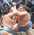 大の里・尊富士・朝乃山ら学生相撲出身者が一大勢力　有望株が大相撲入門急がず