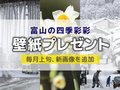 壁紙プレゼント（２０２５年１月） 今月は「つらら」「八尾の雪景色」「スイセン」