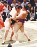 朝乃山４敗目、竜電に力負け　春場所１１日目