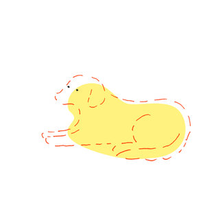 ゴールデンレトリバーはいなかった <br />歌人・島楓果