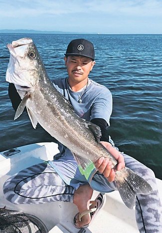 釣果はいけん<br />スズキ体長７５センチ　有澤壽之さん（２６）滑川市領家町