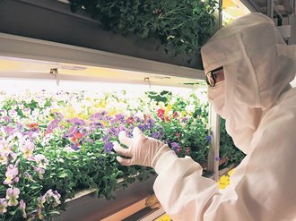 フロントライン富山けいざい（１０７）<br />植物工場事業／自社技術生かし差別化