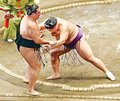朝乃山、竜電を寄り切り５勝目　秋場所７日目