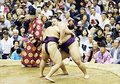 白熱した取組に沸く　大相撲秋巡業「ＪＡとなみ野場所」
