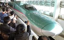 白鳥が「はやぶさ」止める