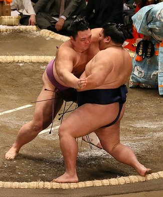 新関脇朝乃山、白星発進　初場所初日