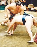 朝乃山、玉鷲破り９勝目　秋場所１３日目