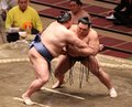 朝乃山 正代下し１０勝　春場所千秋楽、照ノ富士３度目の優勝