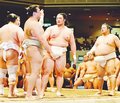 朝乃山、十両Ｖと幕内が目標　