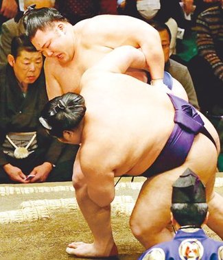 豪快投げ、復活へ光　朝乃山晴れやか「三役目指す」