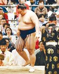 朝乃山 成長示した８勝　大相撲春場所