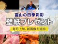 壁紙プレゼント（２０２４年９月） 今月は「おわら風の盆」「ベニズワイガニ」「稲刈り」